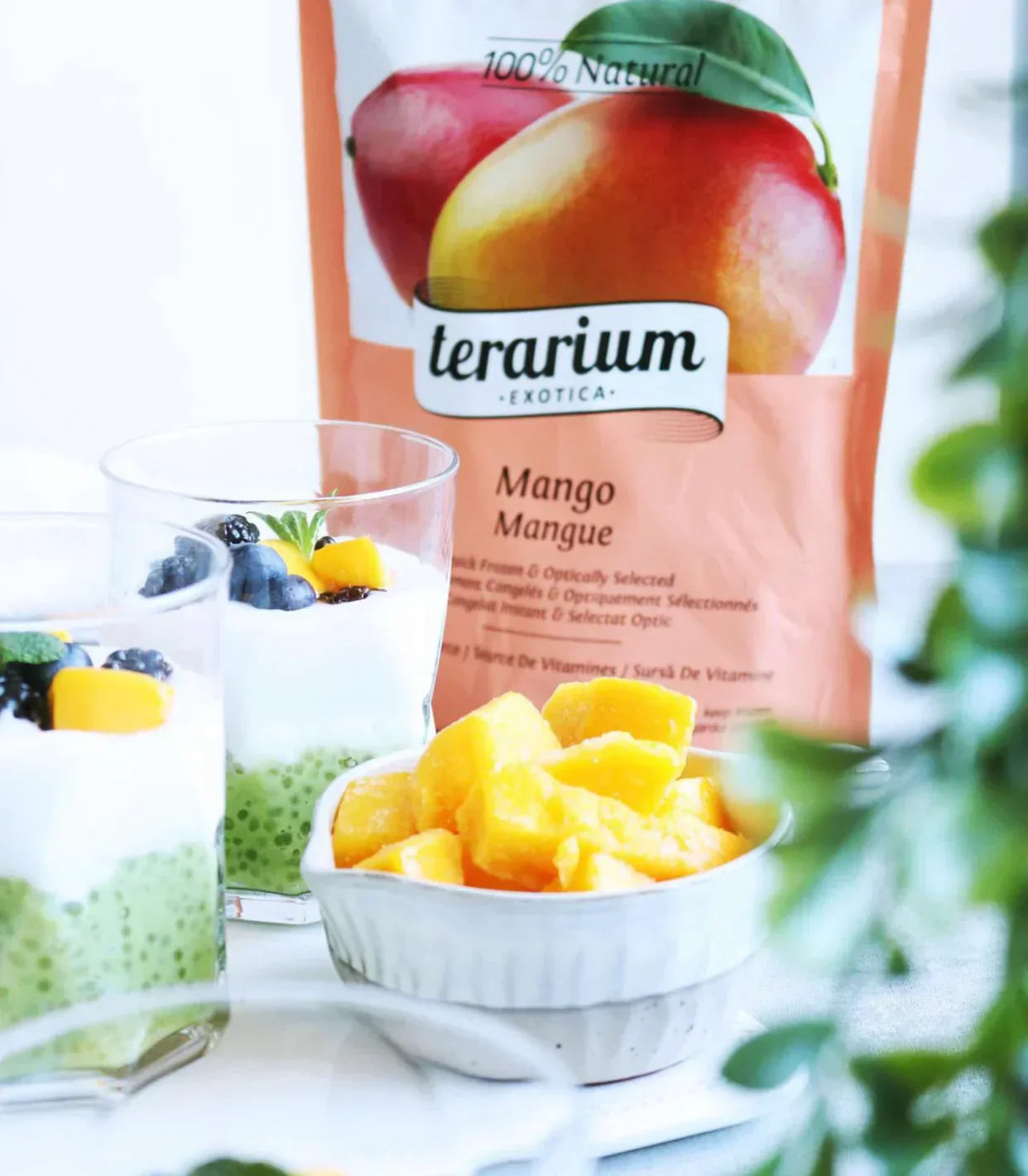 Budincă de Tapioca cu Fructe de la Terarium.