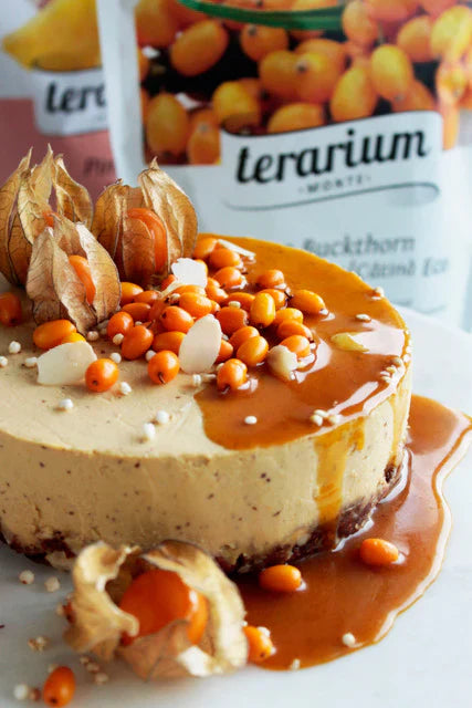 Tort Raw Vegan cu Cătină și Ananas de la Terarium