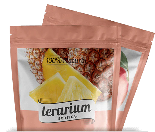 Gama TERARIUM EXOTICA: ananas, mango, lime, exotica mix de fructe congelate