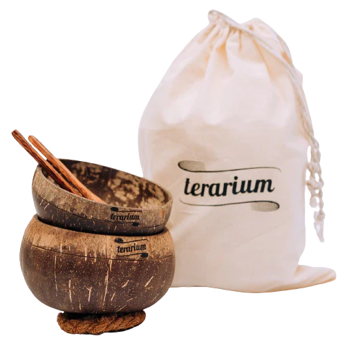 Accesorii Eco-Friendly terarium