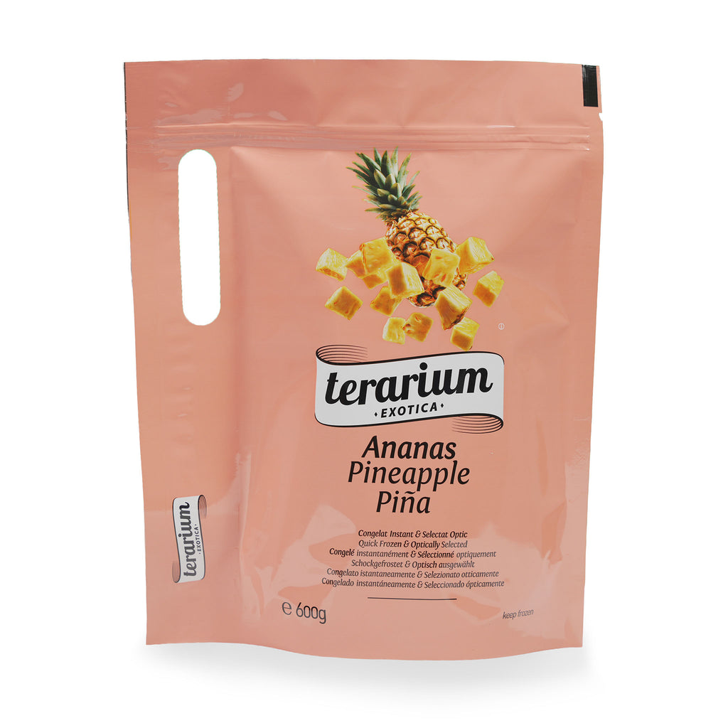 TERARIUM EXOTICA ANANAS 600GR