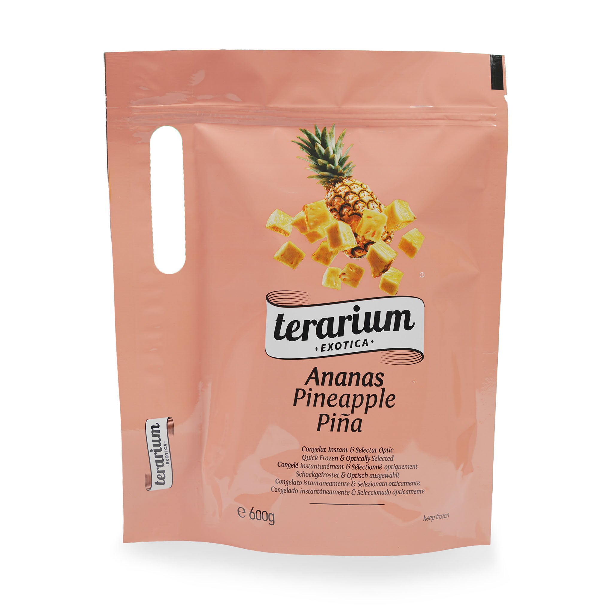 TERARIUM EXOTICA ANANAS 600GR
