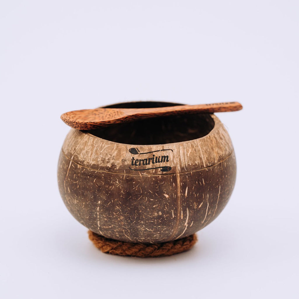 bol mare nuca de cocos + lingura 800ml