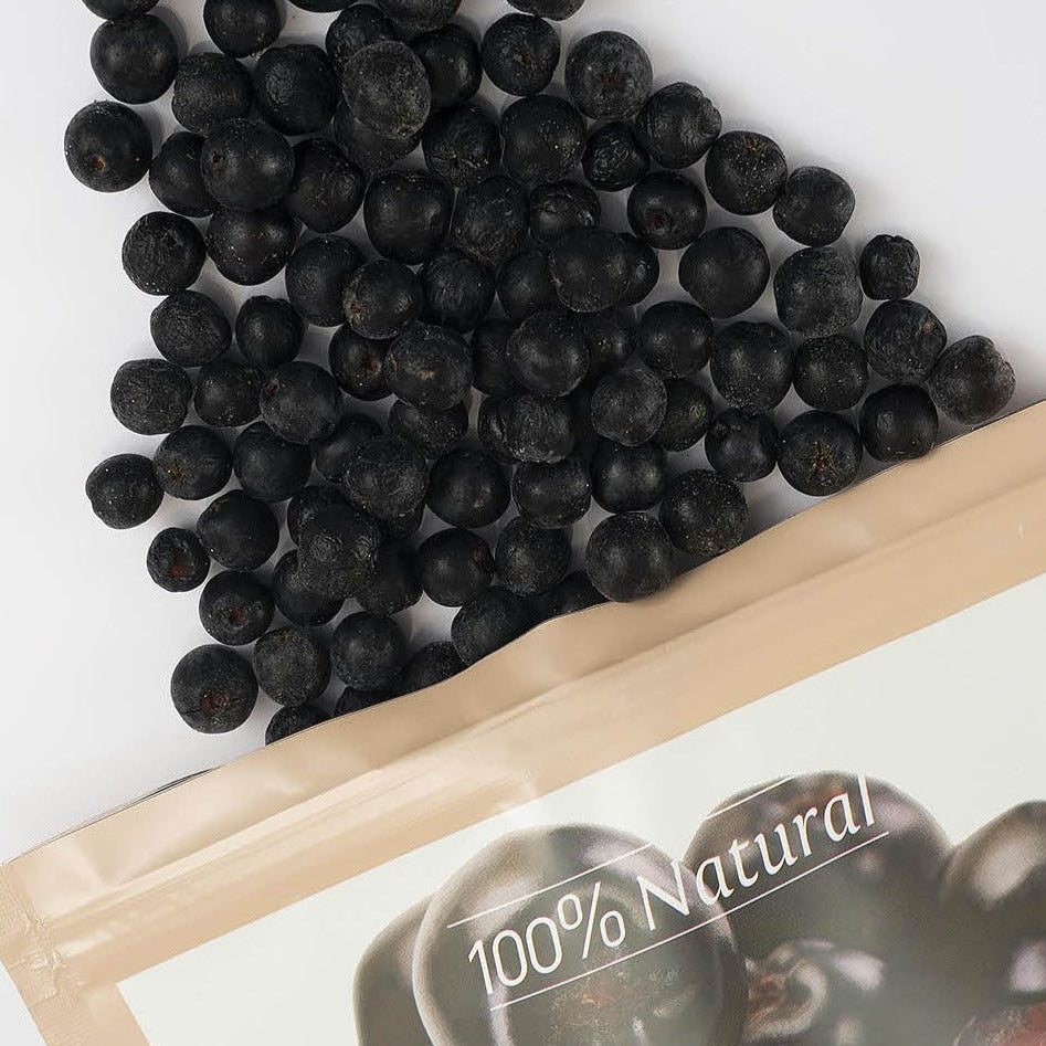 TERARIUM GARDENA ARONIA 600GR