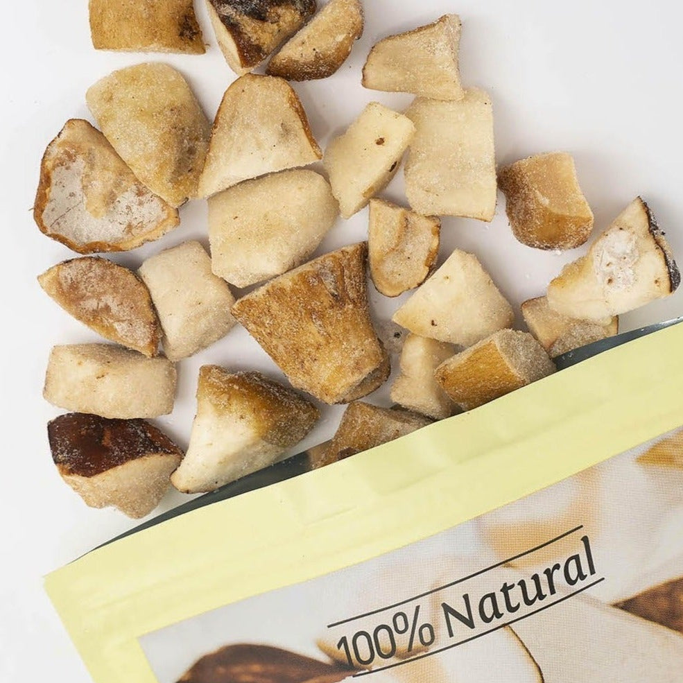 TERARIUM FORESTA HRIBI CUBURI ECO 600GR