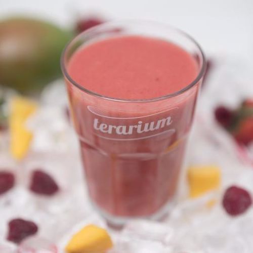 terarium.ro TERARIUM SMOOTHIES ROYAL STRAWBERRY 125GR