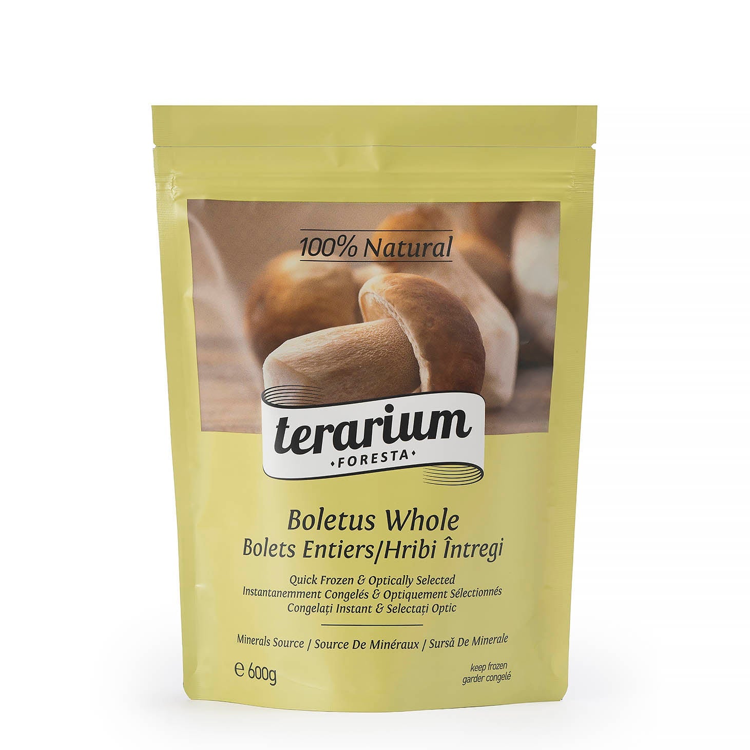 TERARIUM FORESTA HRIBI INTREGI  600G